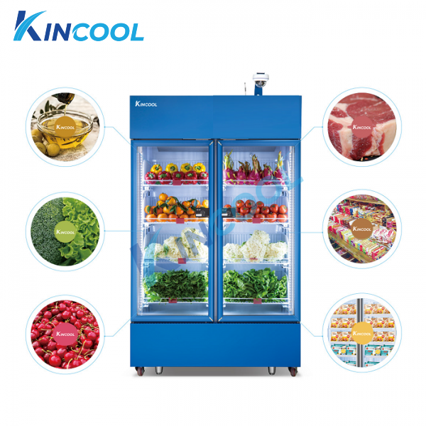 TỦ MÁT TRƯNG BÀY RAU CỦ 2 CÁNH