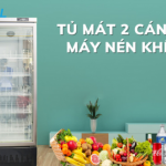 Tủ mát 2 cánh máy nén dưới và những điều cần biết?