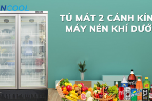 Tủ mát 2 cánh máy nén dưới và những điều cần biết?